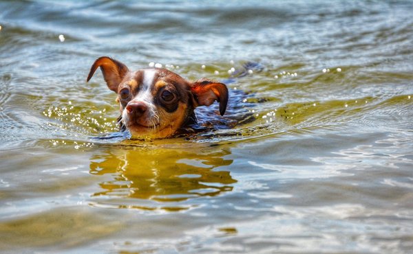 Les conseils pour débuter dans la photographie de paysage