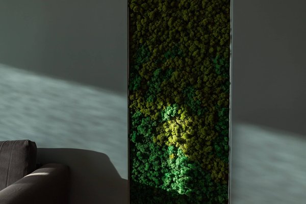 Comment créer un mur vegetal dans sa chambre?