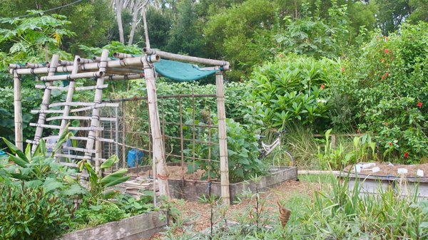 Quels sont les avantages de la permaculture pour restaurer un sol appauvri ?